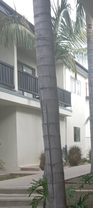 Building Photo - 10726 Orange Grove Ave