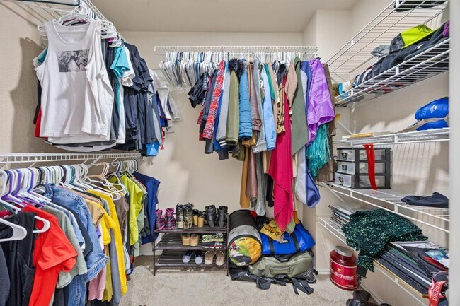 Building Photo - 1619 Balmorhea Ln