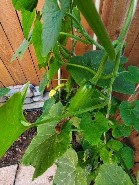 Building Photo - 1309 Hunt Terrace