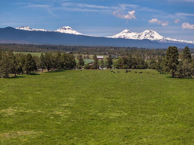 Building Photo - One of a kind, Magnificent Ranch Estate Pr...