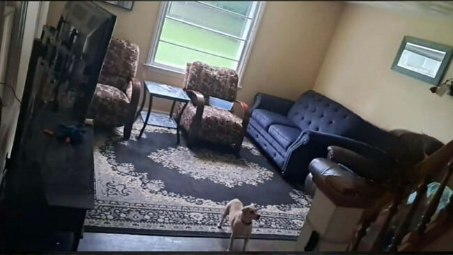 Building Photo - SPACIOUS 4 BEDROOM HOME READY TO WELCOME YOU
