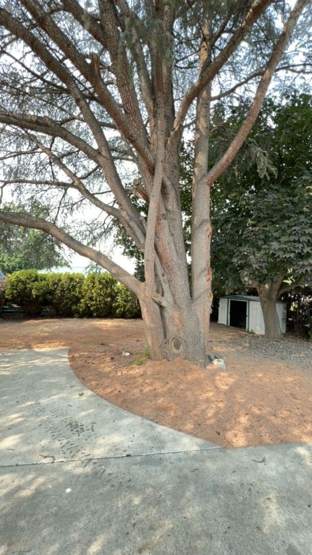 Building Photo - Large 4 Bedroom Orchards Home with private...