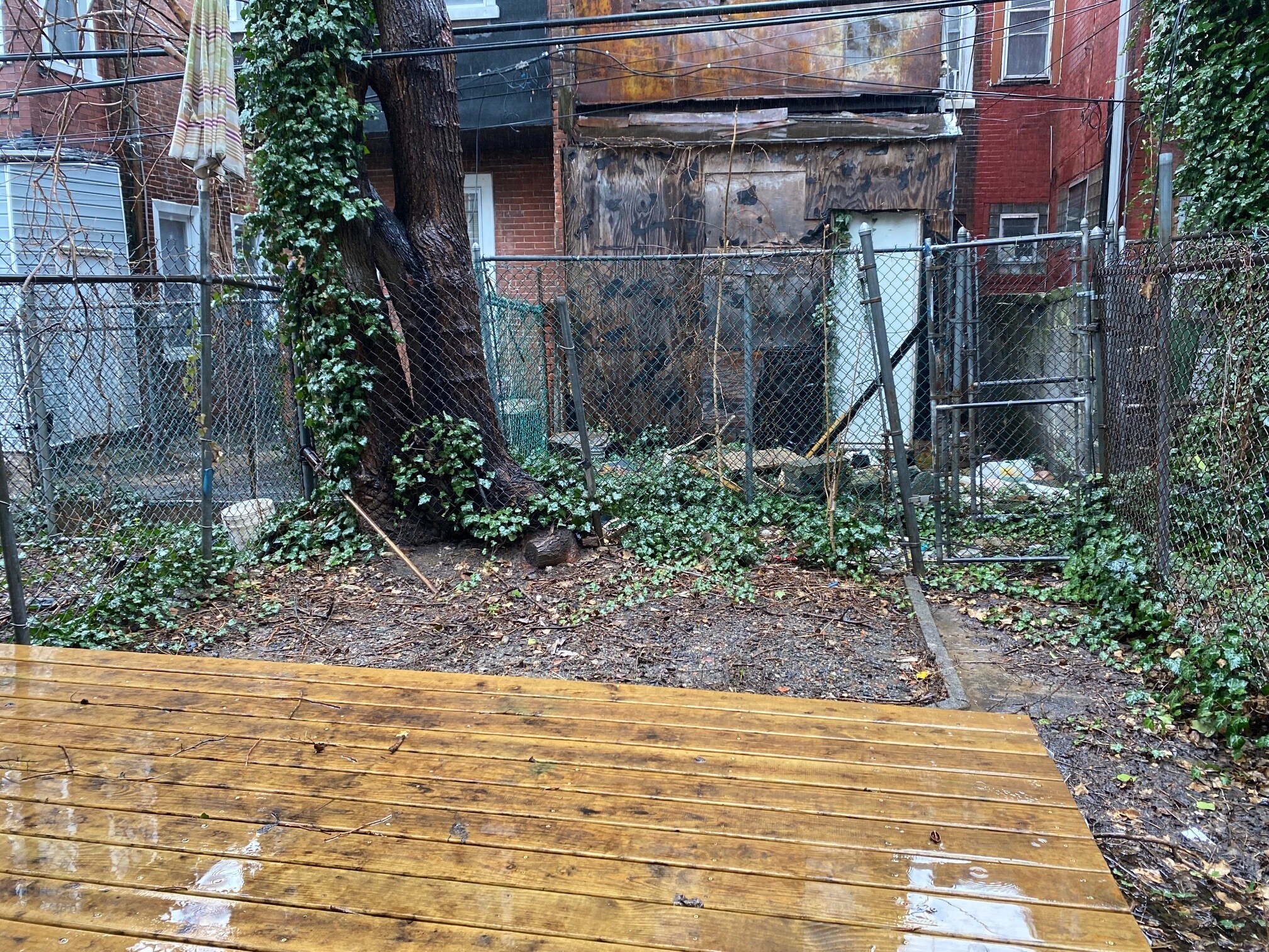 Rear Yard - 2530 N 18th St