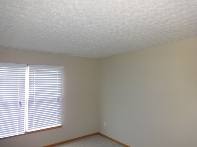 Building Photo - 256 Westedge Ct