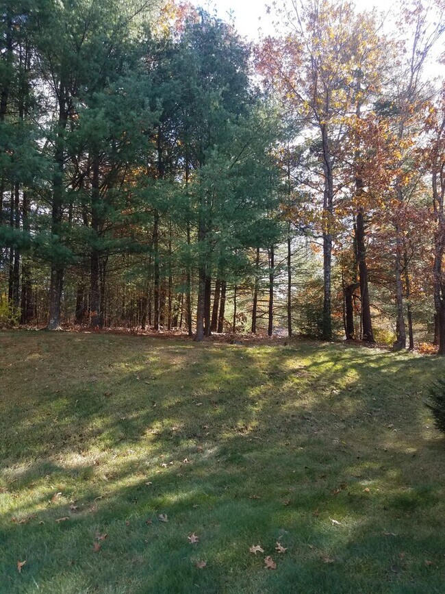 Building Photo - Stratton Forest Condo