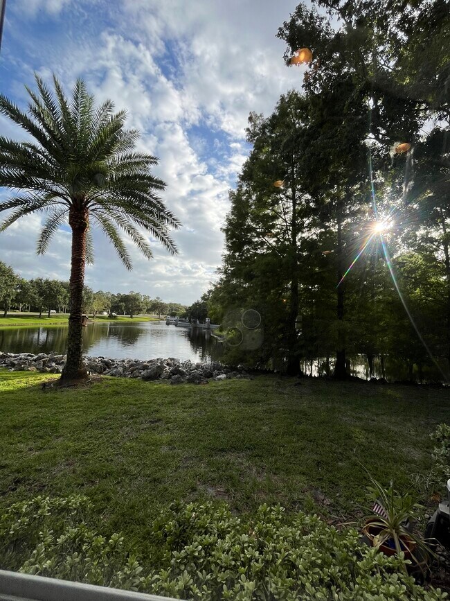 Building Photo - 14467 Mirabelle Vista Cir