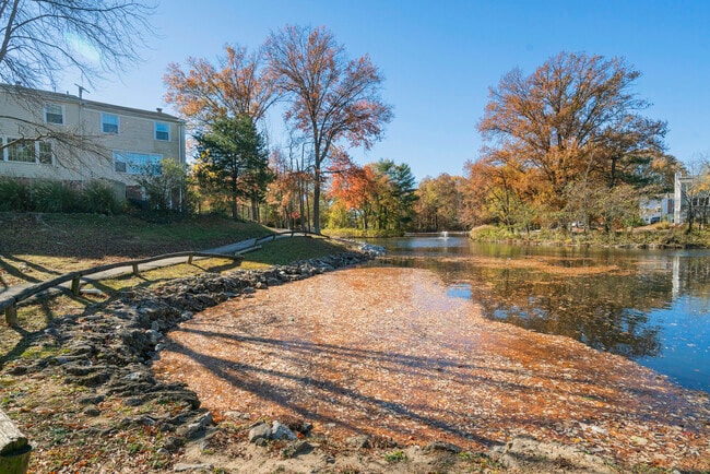 Building Photo - 4339 Cedarlake Ct