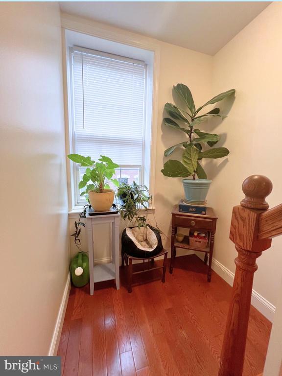 Building Photo - 1415 S 4th St