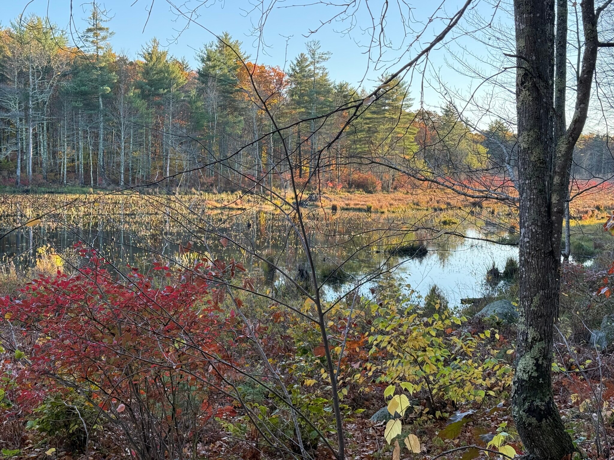 Building Photo - 14 Big Rock Ln