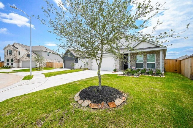 Building Photo - 26811 Tree Mallow Dr
