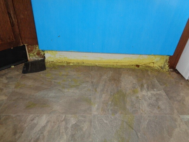 Building Photo - 10211 Golden Sunshine Dr