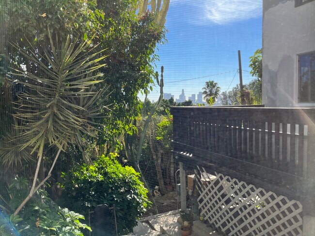 view from bungalows window - 934 Micheltorena St