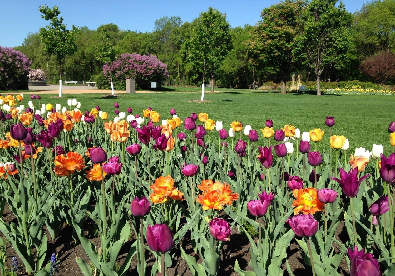 Building Photo - 4312 Colfax Avenue South