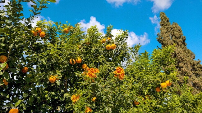 Building Photo - 8108 E Del Joya Dr