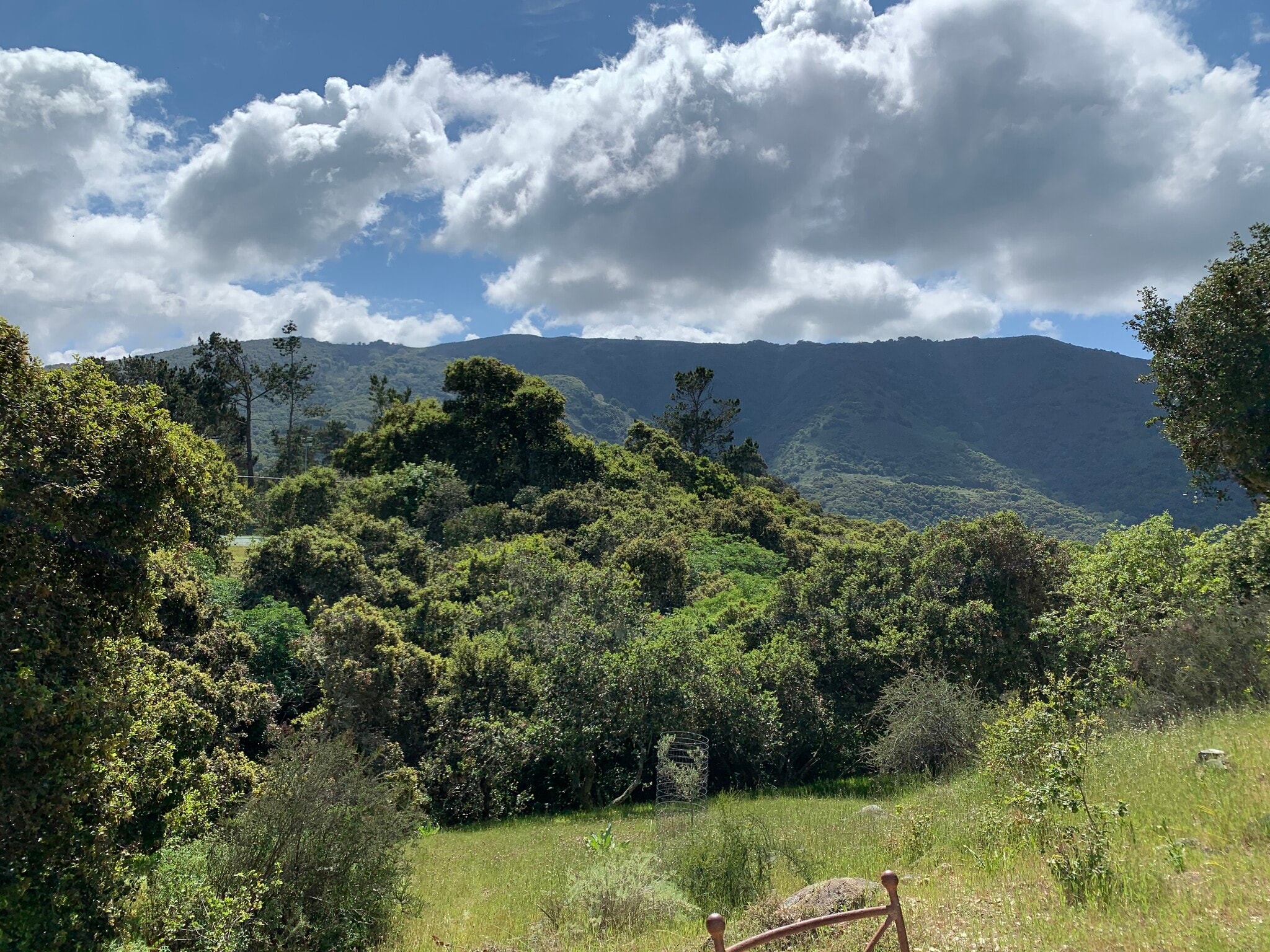 Building Photo - 17 Encina Dr