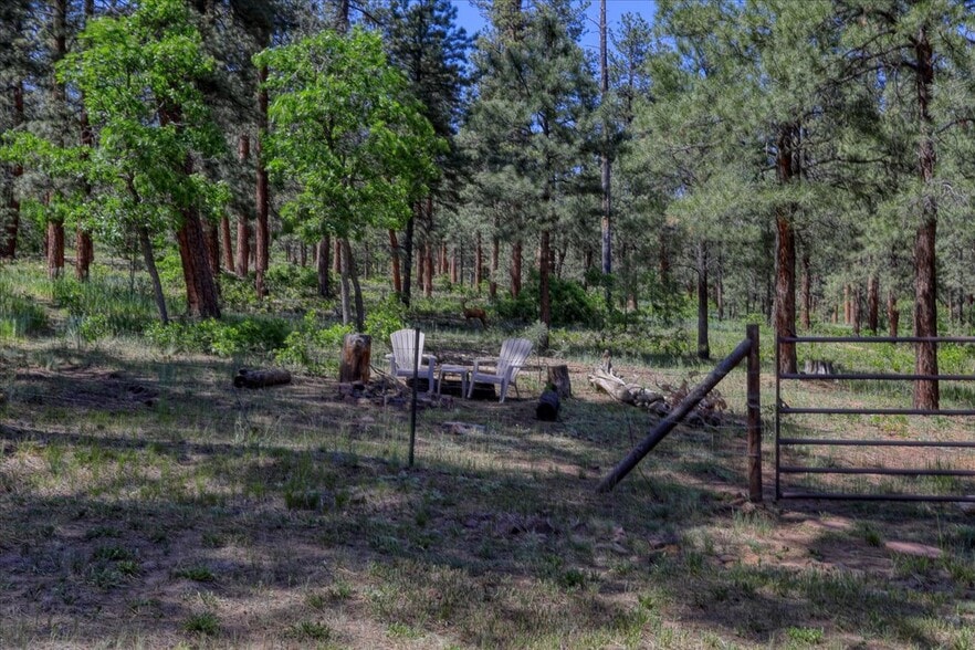Building Photo - 1034 Hills Cir