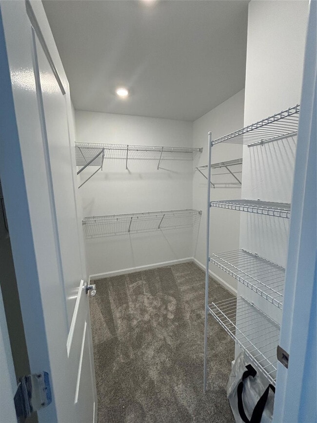 Building Photo - 1527 Fells Cove Ln