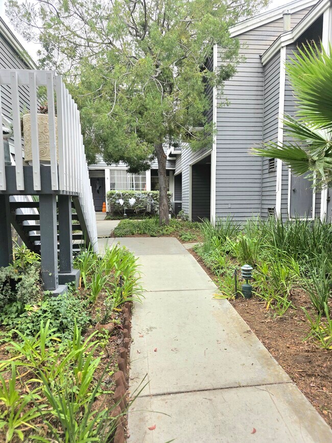 Building Photo - 25369 Pine Creek Ln