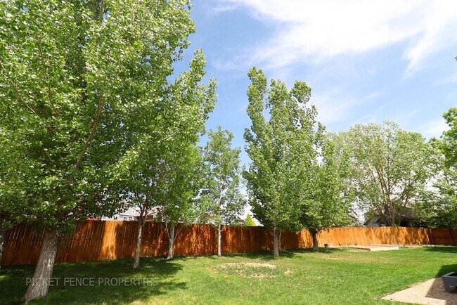 Building Photo - Beautiful 4 bedroom home in Fort Collins