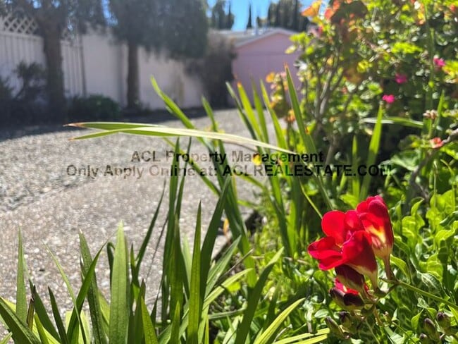Building Photo - Spacious, quiet, one story Castro Valley Home
