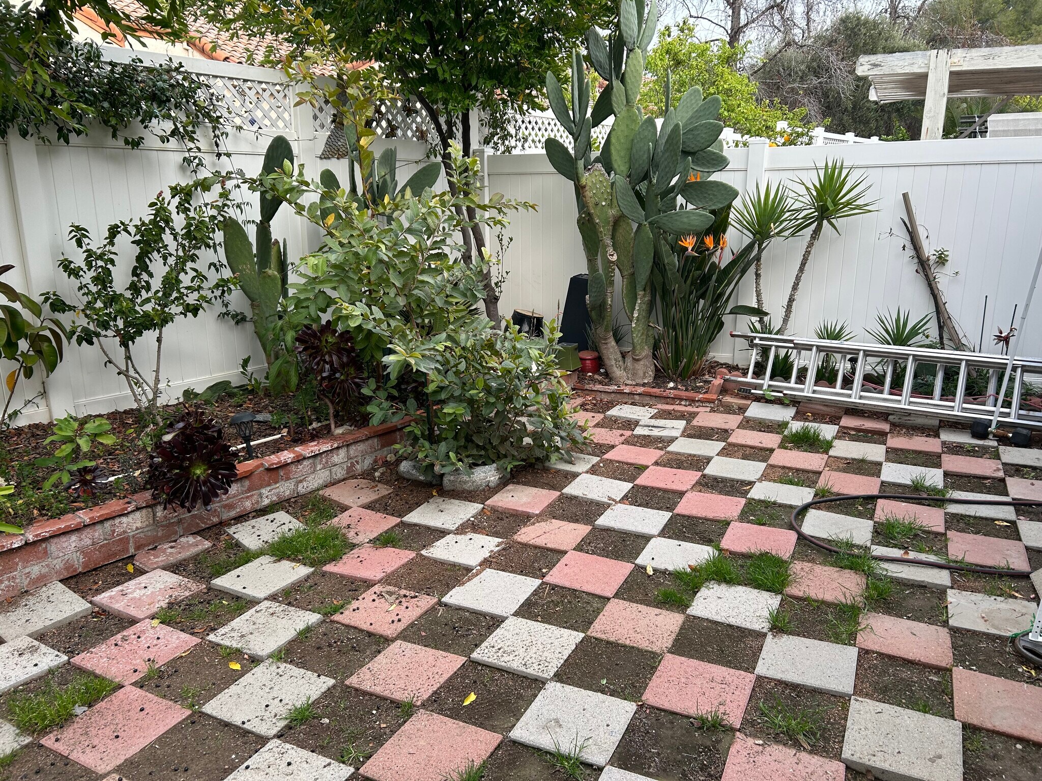 Building Photo - 20910 Judah Ln