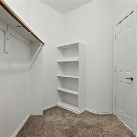 Building Photo - 6120 Amberjack Trail