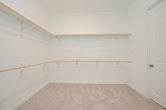 Building Photo - 26223 Yellow Sage Ln
