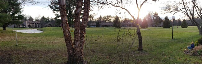 View from patio 2 - 3 Andover Ct