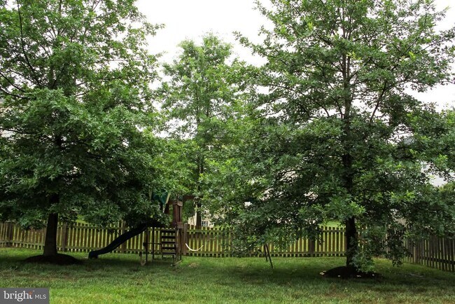 Building Photo - 25008 Owl Creek Dr
