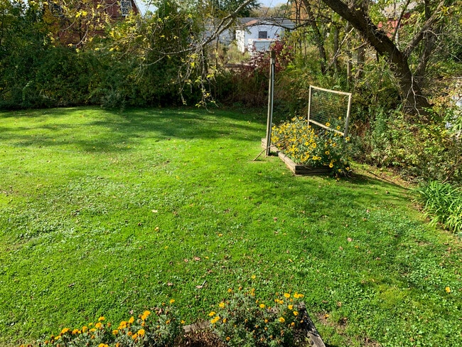 Backyard view - 806 Berkshire Rd