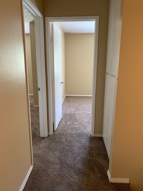 HALLWAYS - 10157 Caminito Jovial