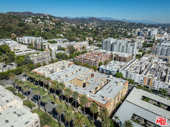 Building Photo - 1730 Camino Palmero St