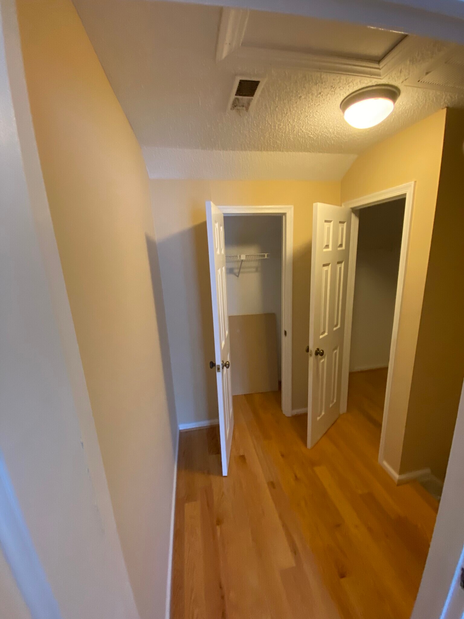3rd floor walk-in and closet - 524 Pine Tops Ct