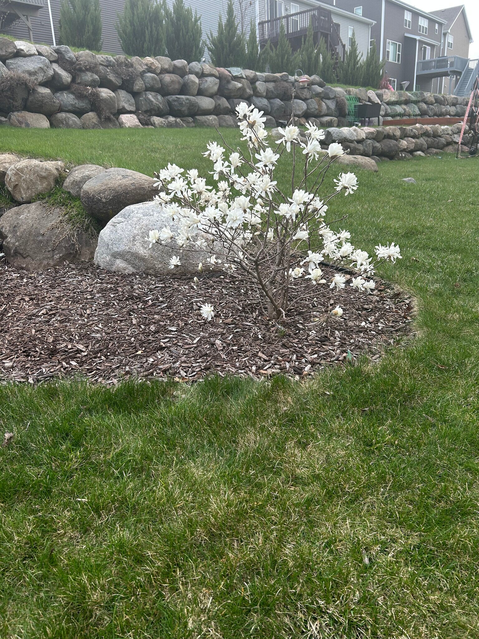 Building Photo - 5370 Little Bluestem Dr