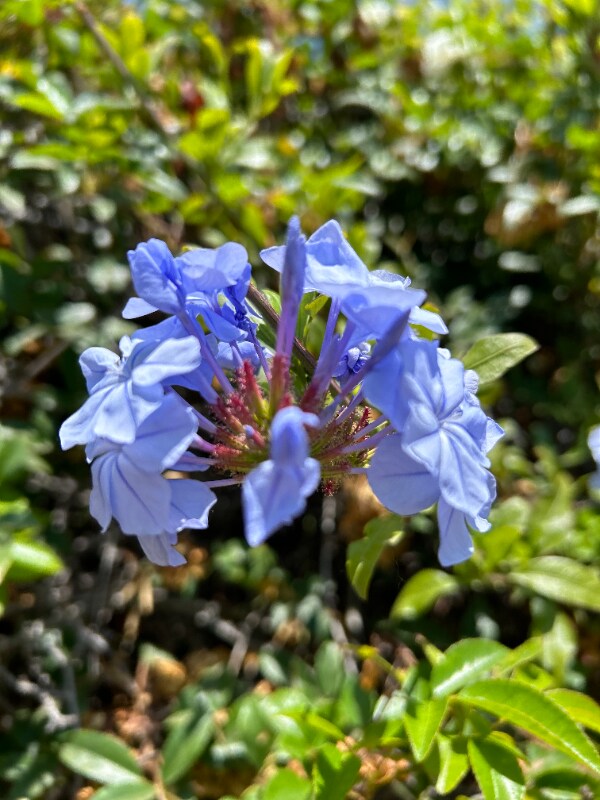 Building Photo - 25147 Jack Rabbit Acres