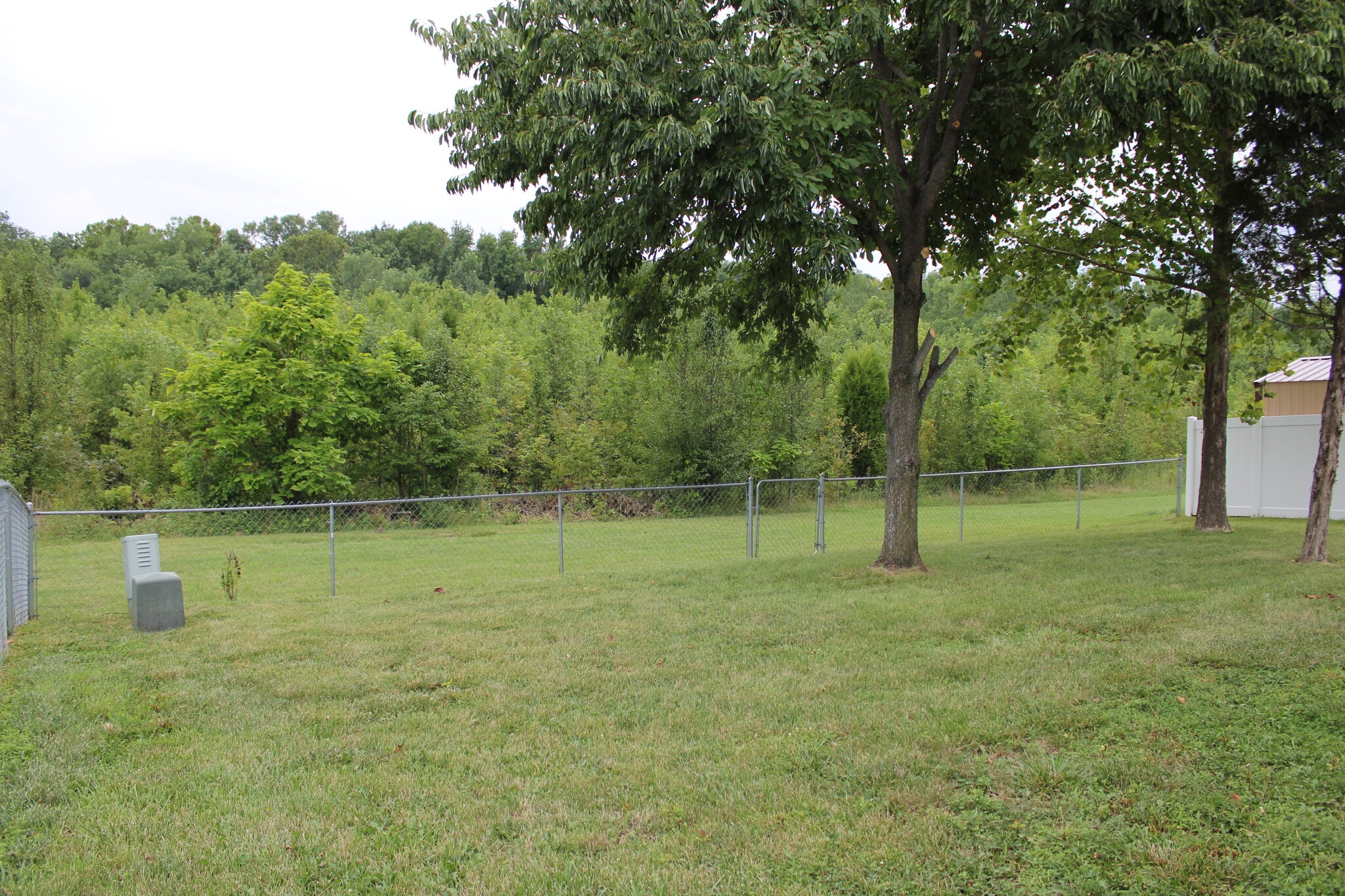 Building Photo - 3228 Park Ridge Dr