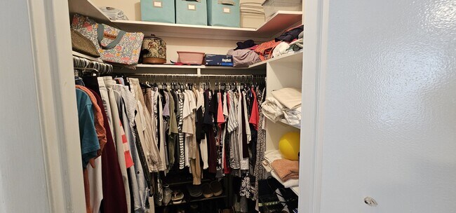 Building Photo - 2009 Riverbluff Pkwy