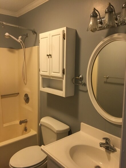 Hallway bath - 308 Rose Dr