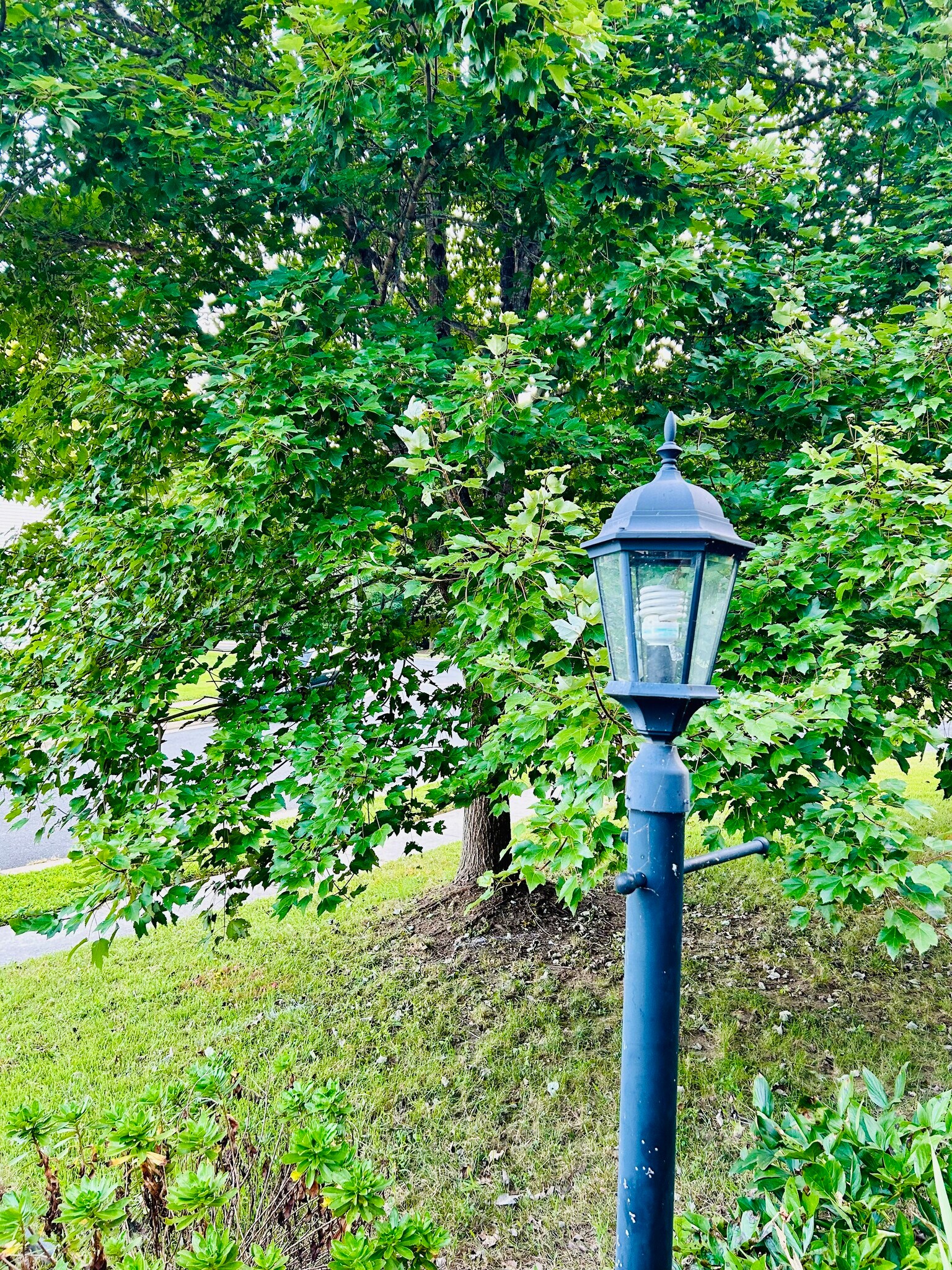 Building Photo - 2416 Neabsco Creek Ct