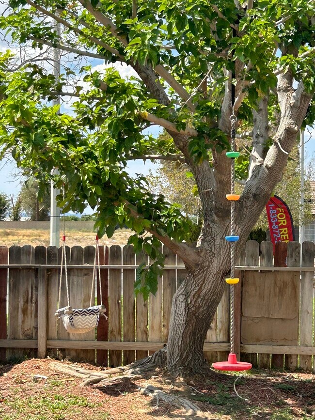 Backyard - 45408 17th St E