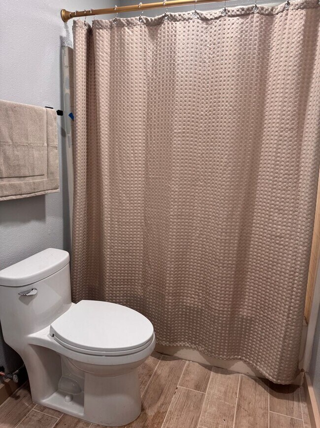 Building Photo - Newly Remodeled 2 Bedroom, 2 Bath Back House