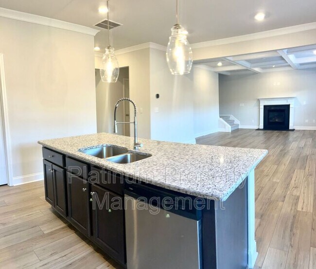 Building Photo - 4579 Silver Oak Dr
