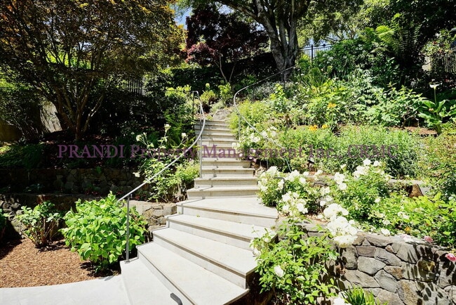 Building Photo - Coming soon!  Exquisite Mill Valley Home.
