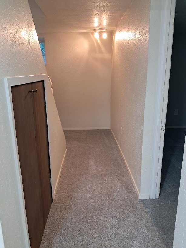 Building Photo - 3911 NE Rova Rd