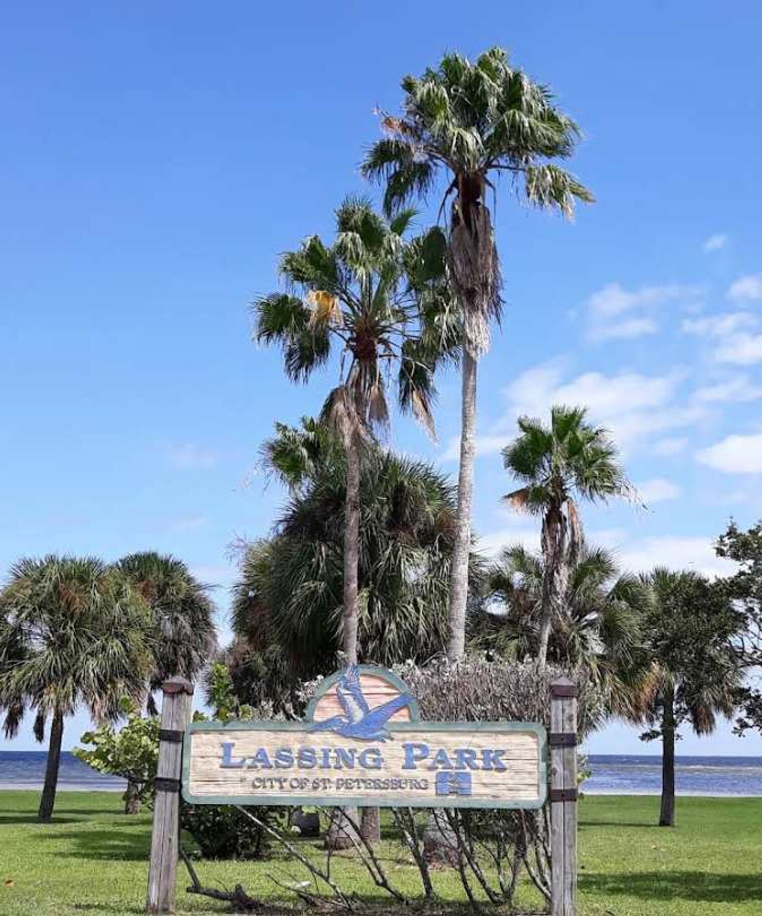 Building Photo - 4801 14th Ave S