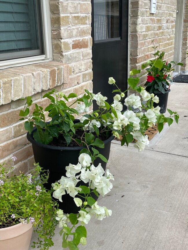 Building Photo - 7718 Royal Ln