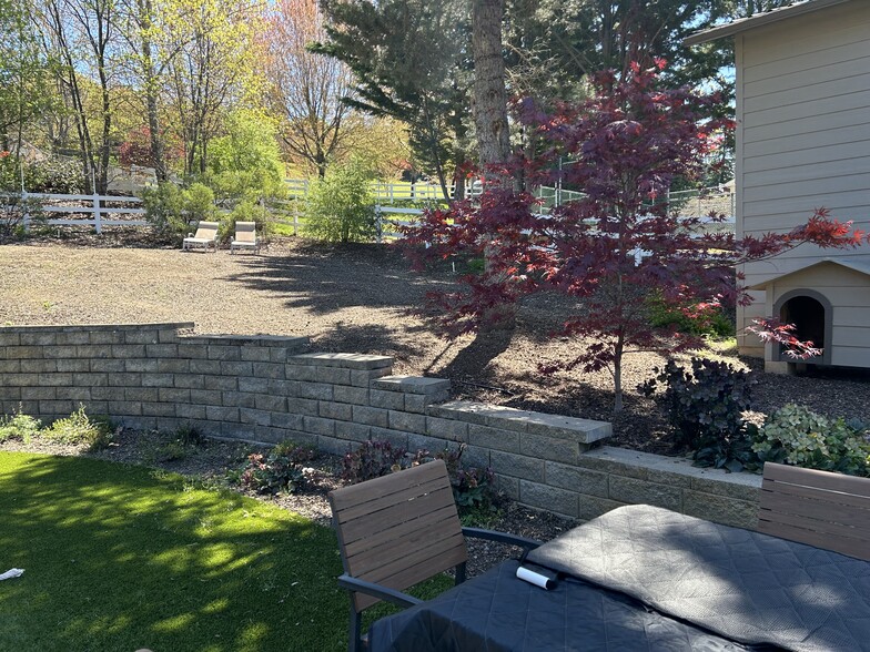 shared back yard - 449 Orchard St