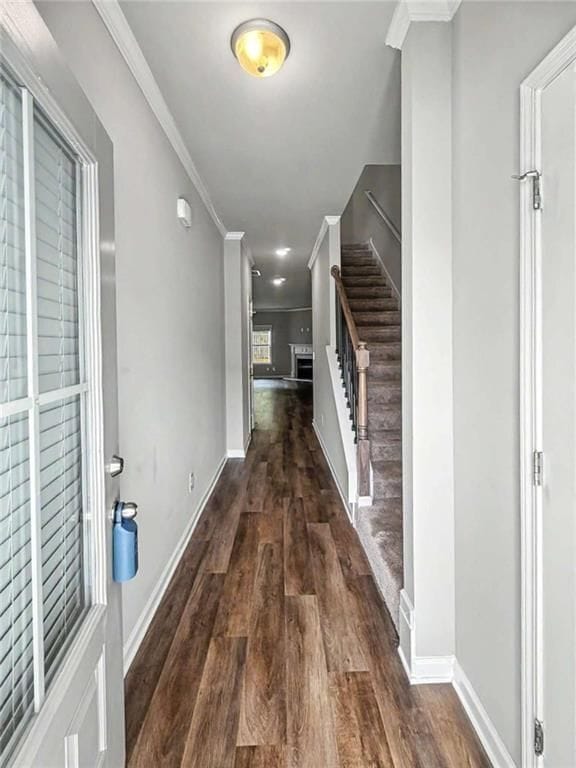 Building Photo - 5124 Fox Den Rd