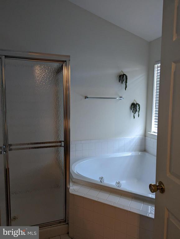 Building Photo - 2701 Summers Ridge Dr