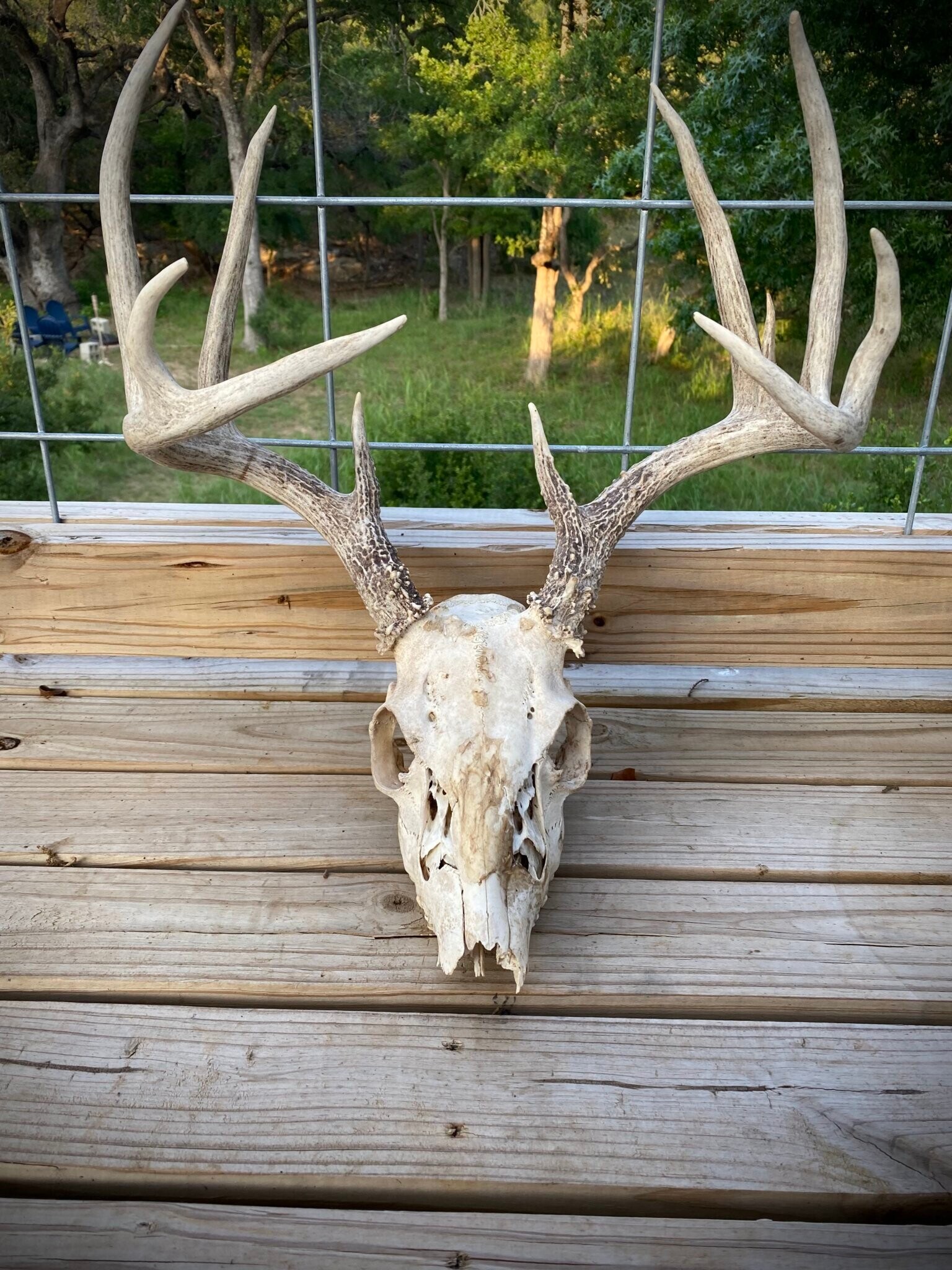 Building Photo - 1183 Lavaca